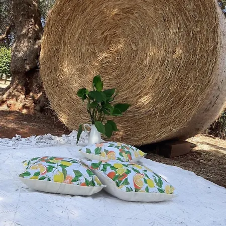 Marga Stella D'itria Holiday home Martina Franca